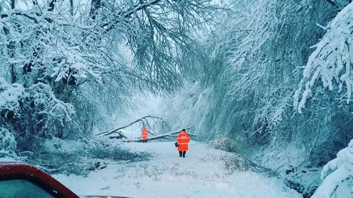 91566099_3059463637451831_5075674814337777664_n