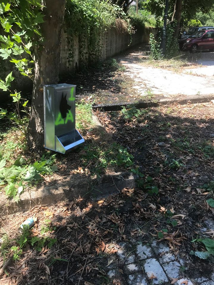 109836644_142439100806488_1954195834126168033_o