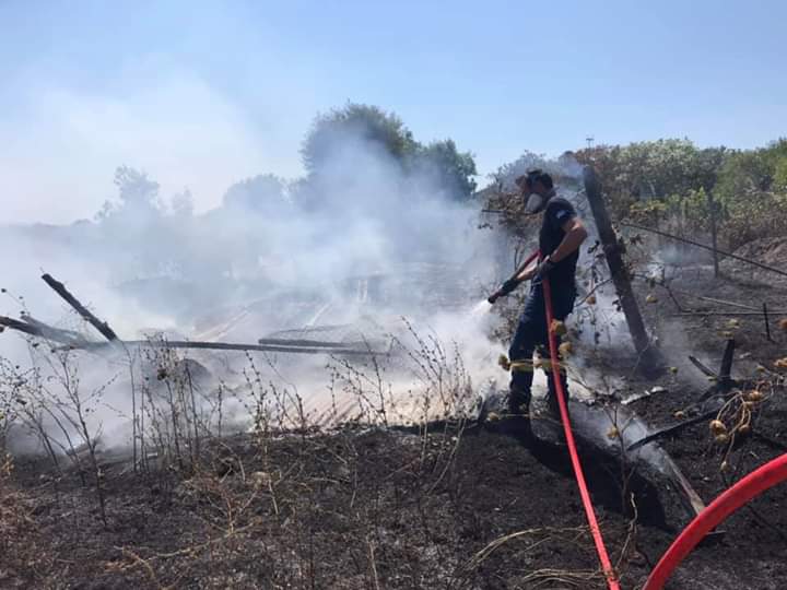 FB_IMG_1595681781638