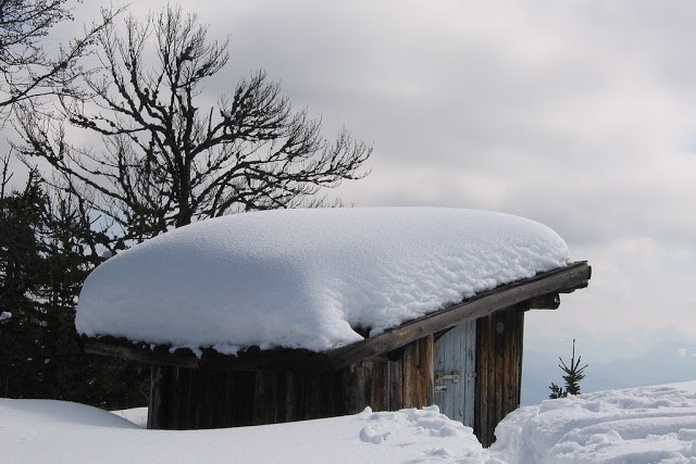 50174431991_cd11a37291_b (1)