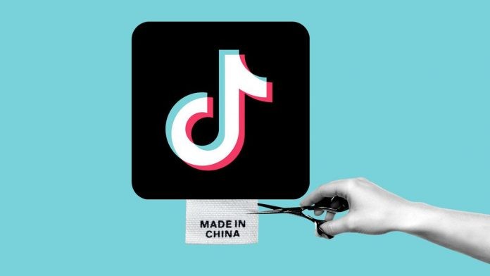 tiktok-e1598632710653-696×392