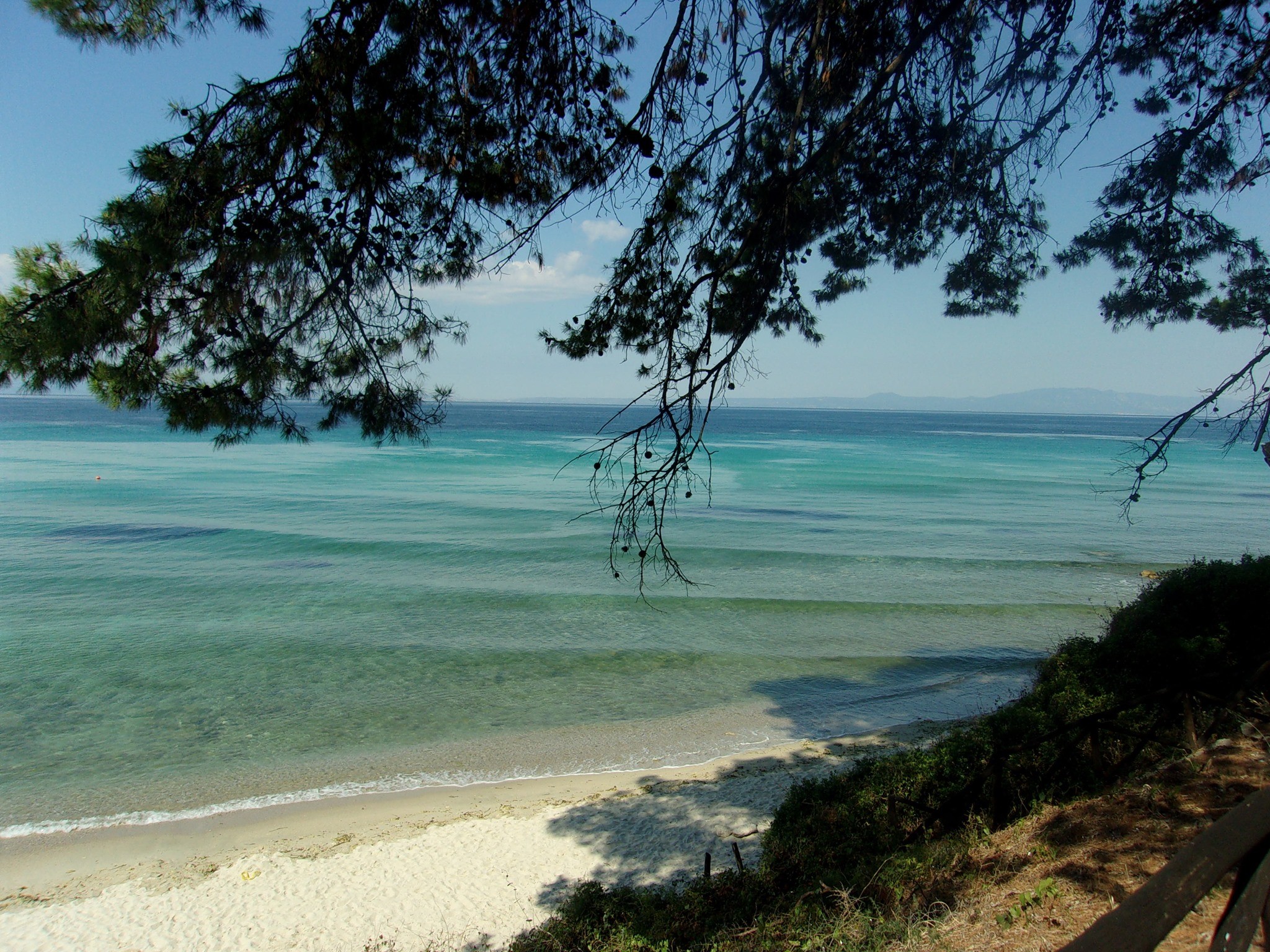 119422385_1520453974815311_2364228651654614542_o