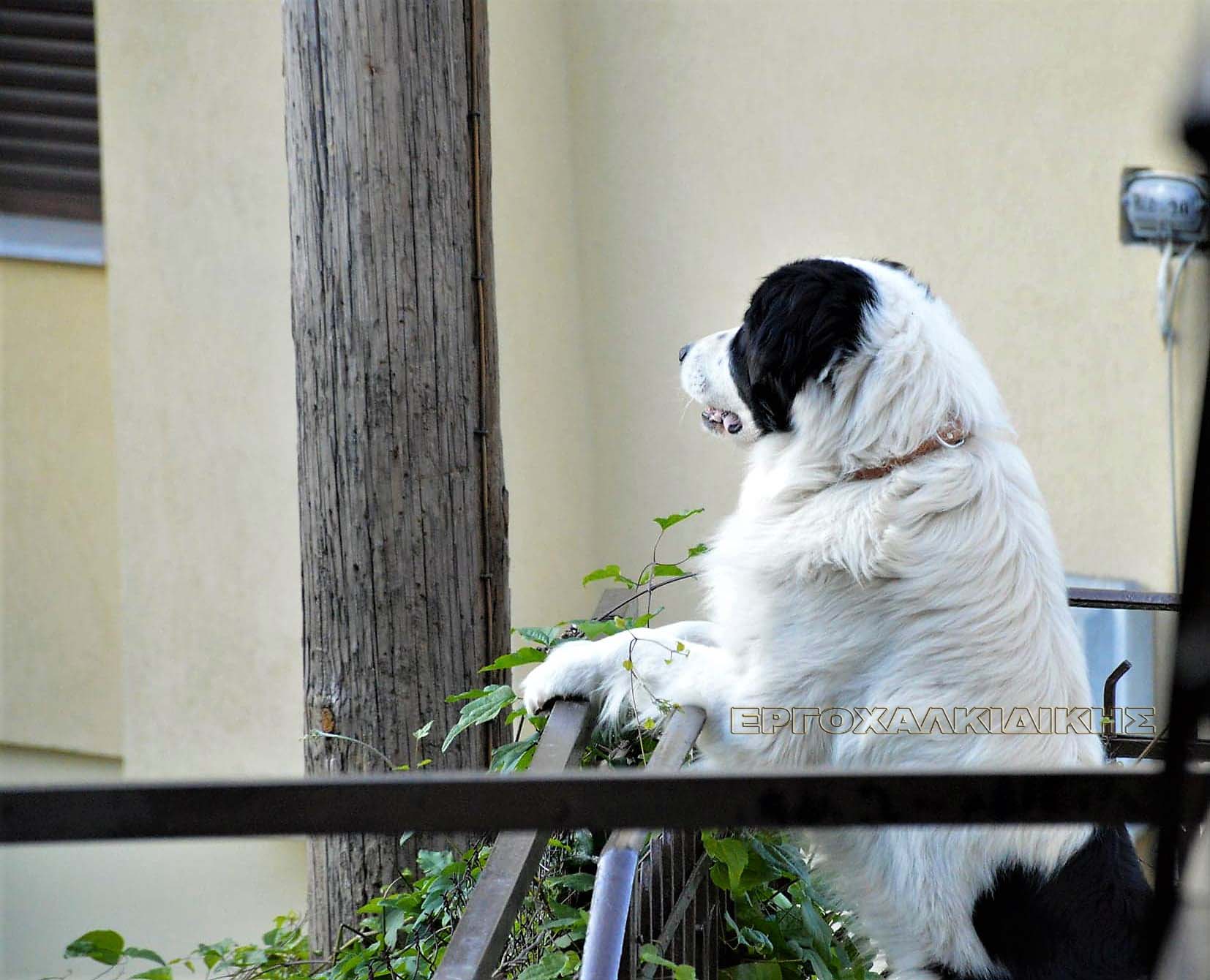 125370902_473401030298983_7301907101595540411_n