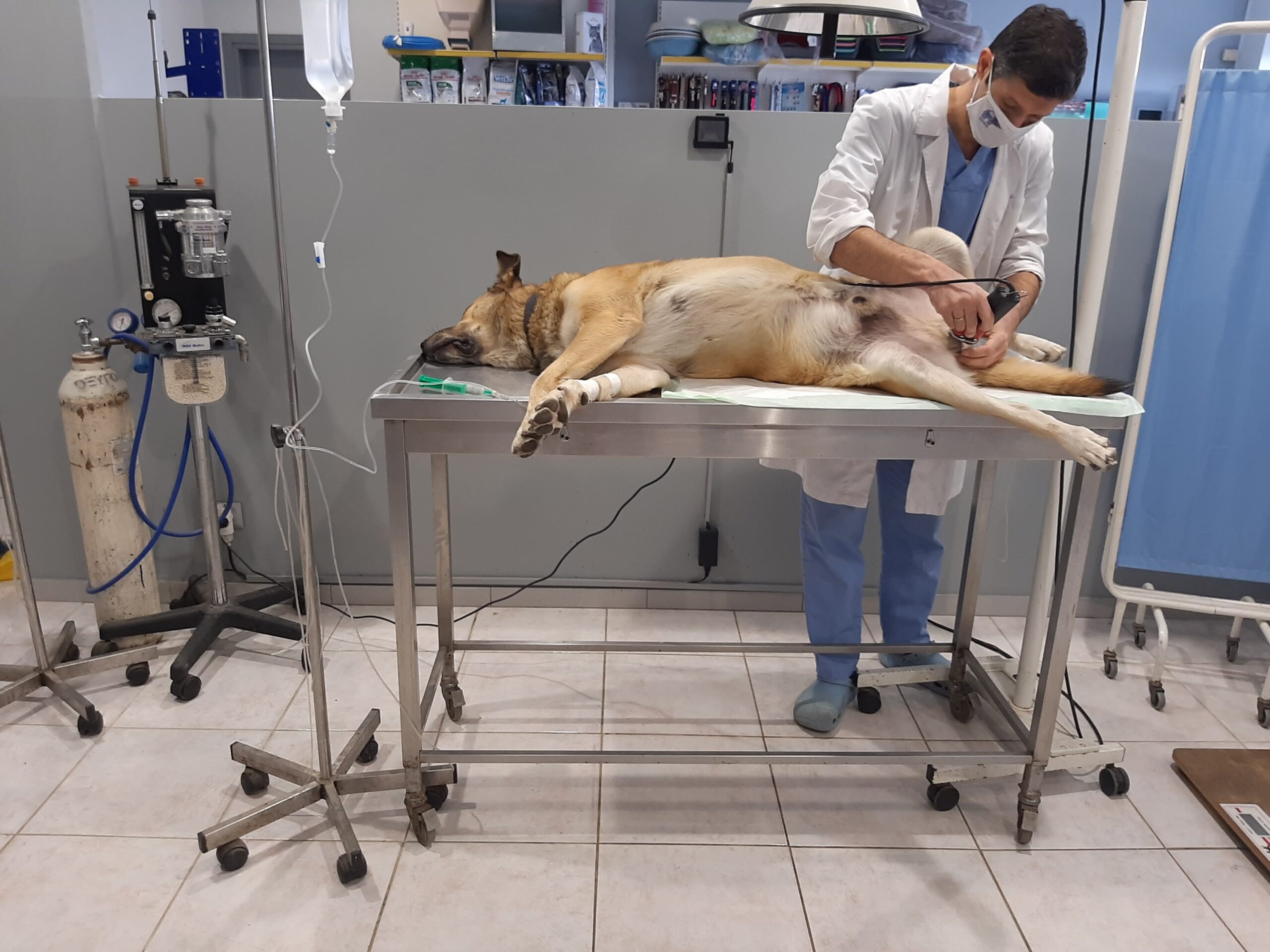 125526850_712683059649827_5918430639749291851_n