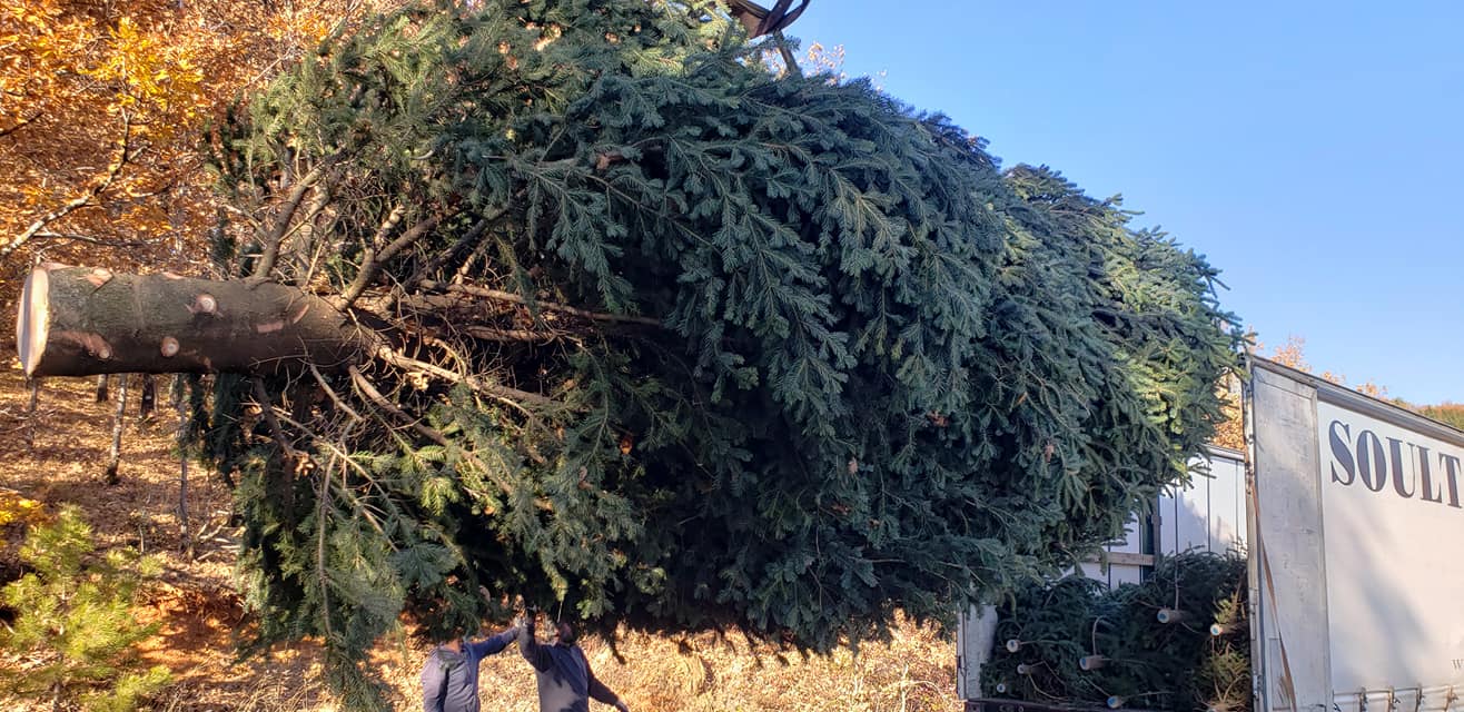 128773091_2461590590812478_1499687202898116435_o