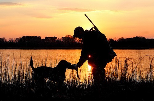 duck-hunting-500×330