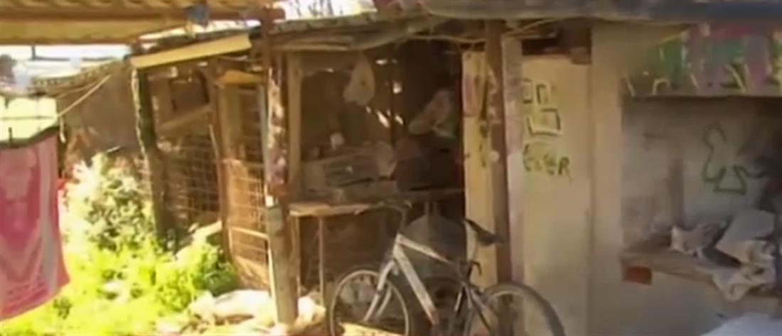 1100_5af82054-f2d8-4b3e-b486-256f4c2a809f