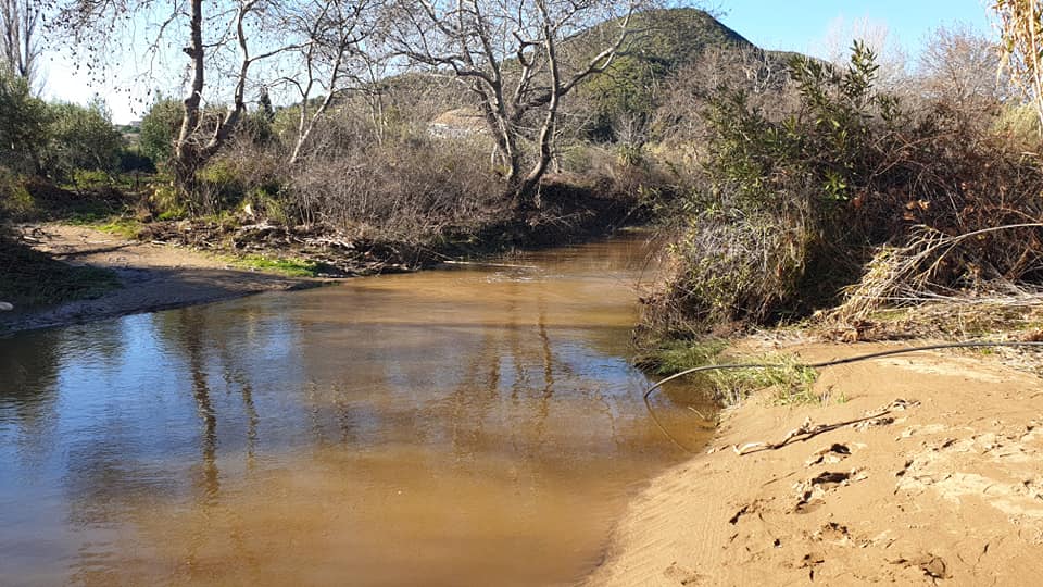 136083989_906454876829991_2439886653466962020_n