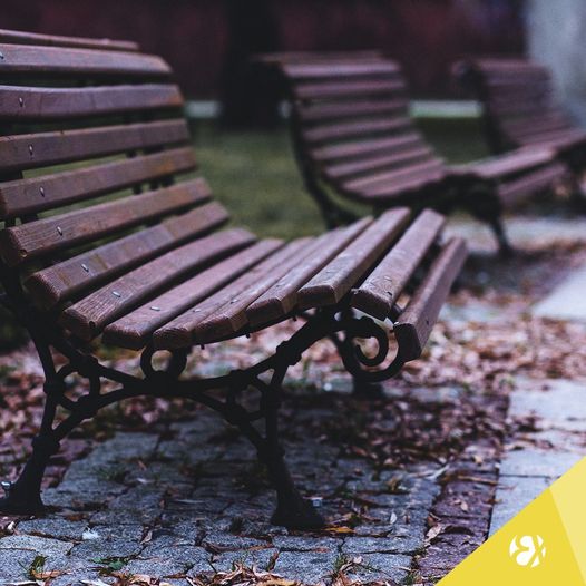 137341713_1731647903676045_7915915563179208279_o