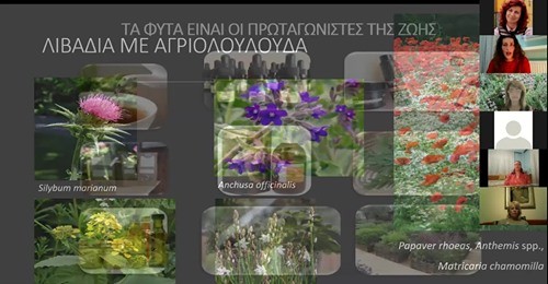 safe_image (2)