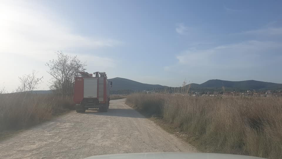 172905404_966435267498618_2543753856716892666_n