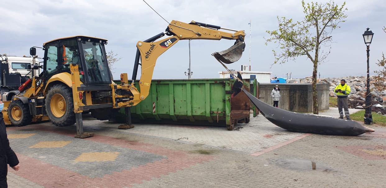 KASSANDRA -ZIFIOS (3)