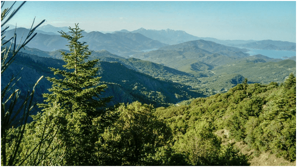 αρχείο λήψης