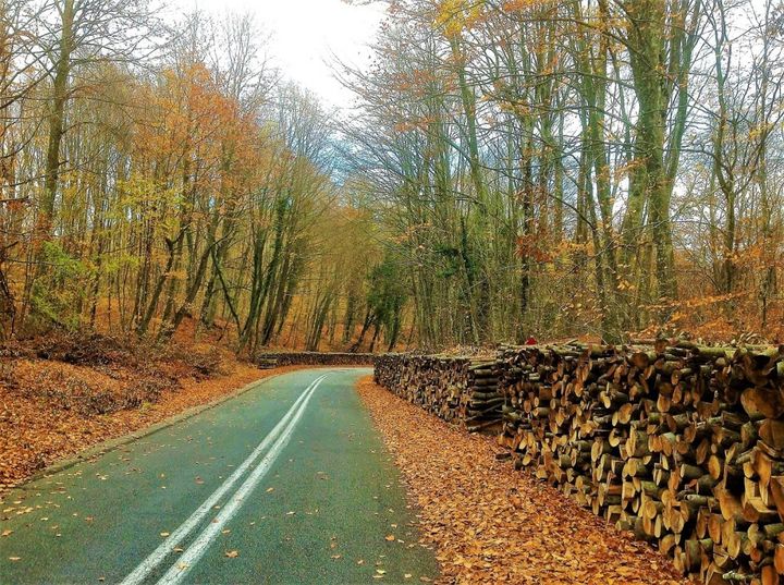 190174214_301638051626099_6803956445333892726_n