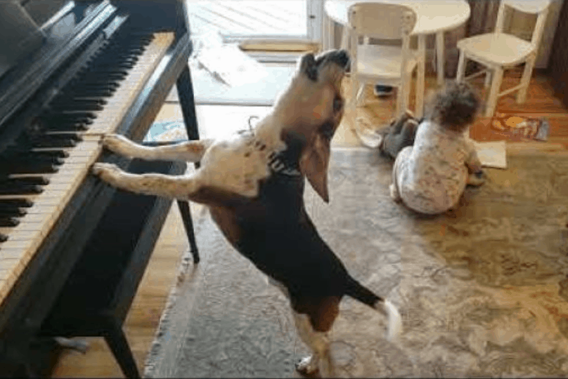 Στιγμιότυπο-οθόνης-2021-05-29-093858