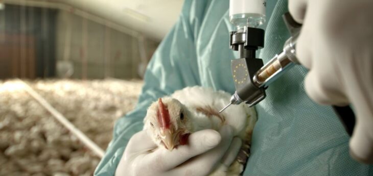 h10n3-stin-kina-katagrafike-to-proto-kroysma-anthropoy-apo-ti-gripi-ton-ptinon-730×345-1