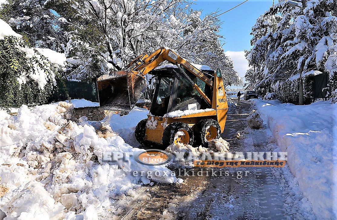 3097343_252863_245842_type13262-1