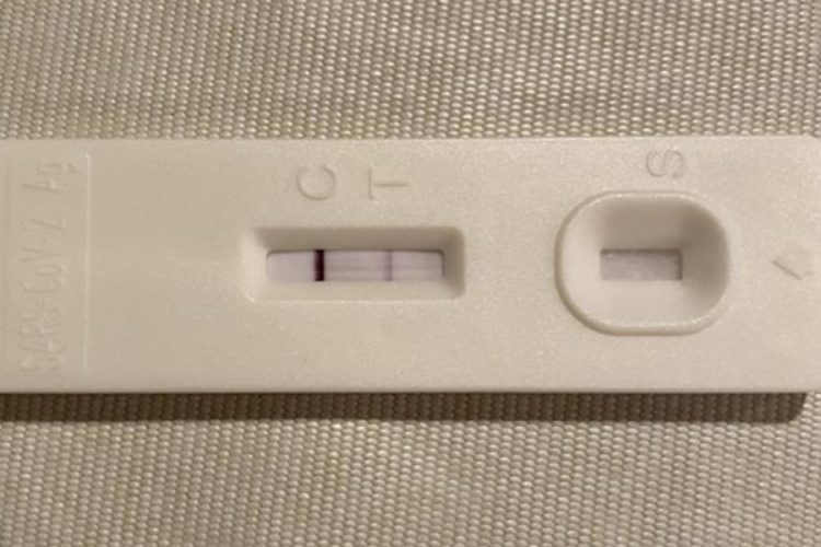 54bbf9feba7b5dd3eae1b254bdd35436_XL-750×500-1