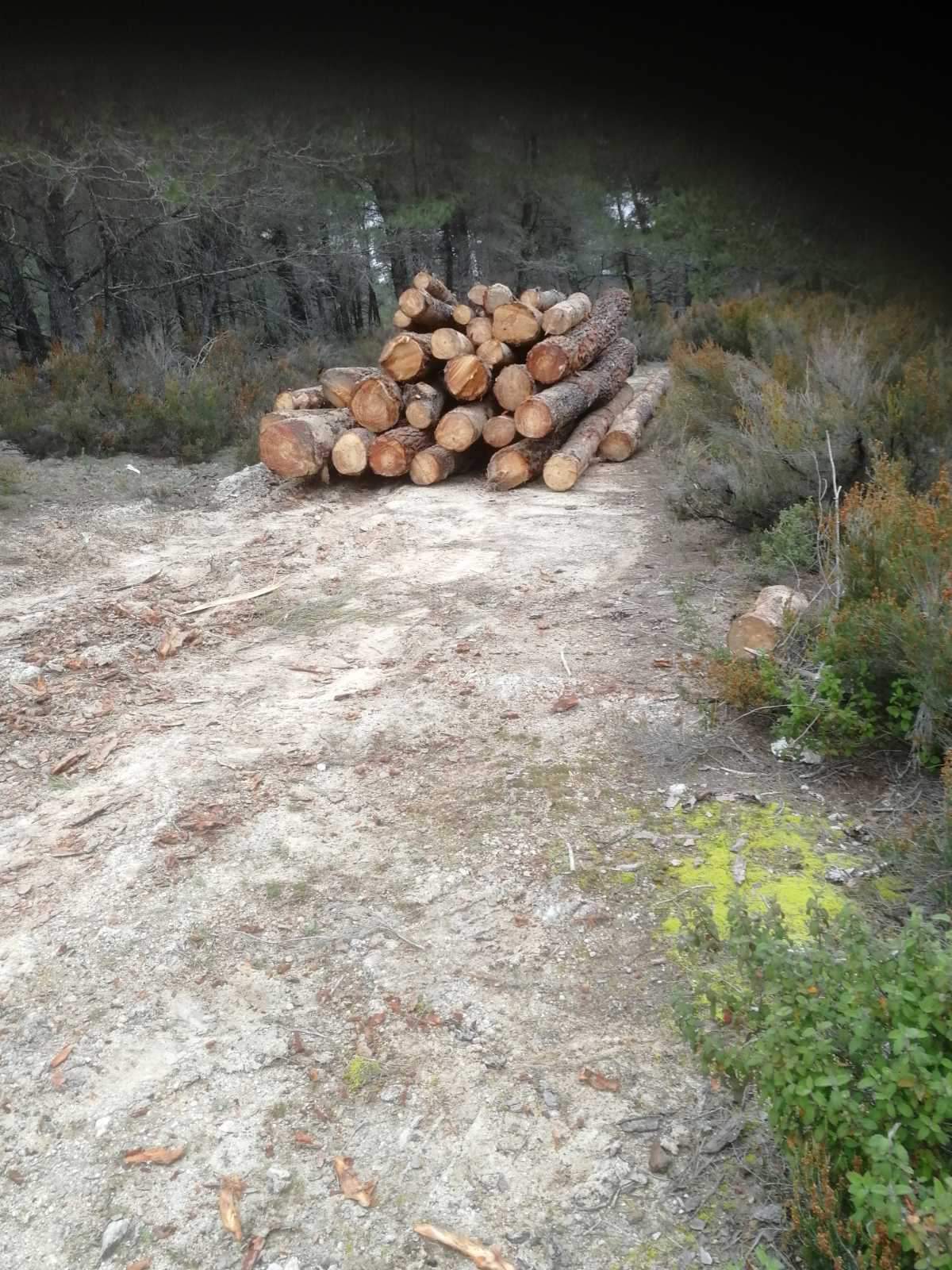 received_692852252060130