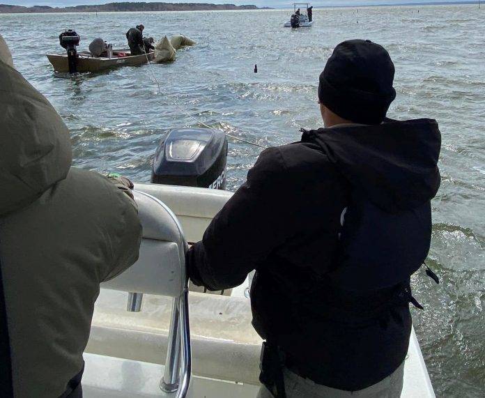 Ψαράς-ερευνες-696×571-1