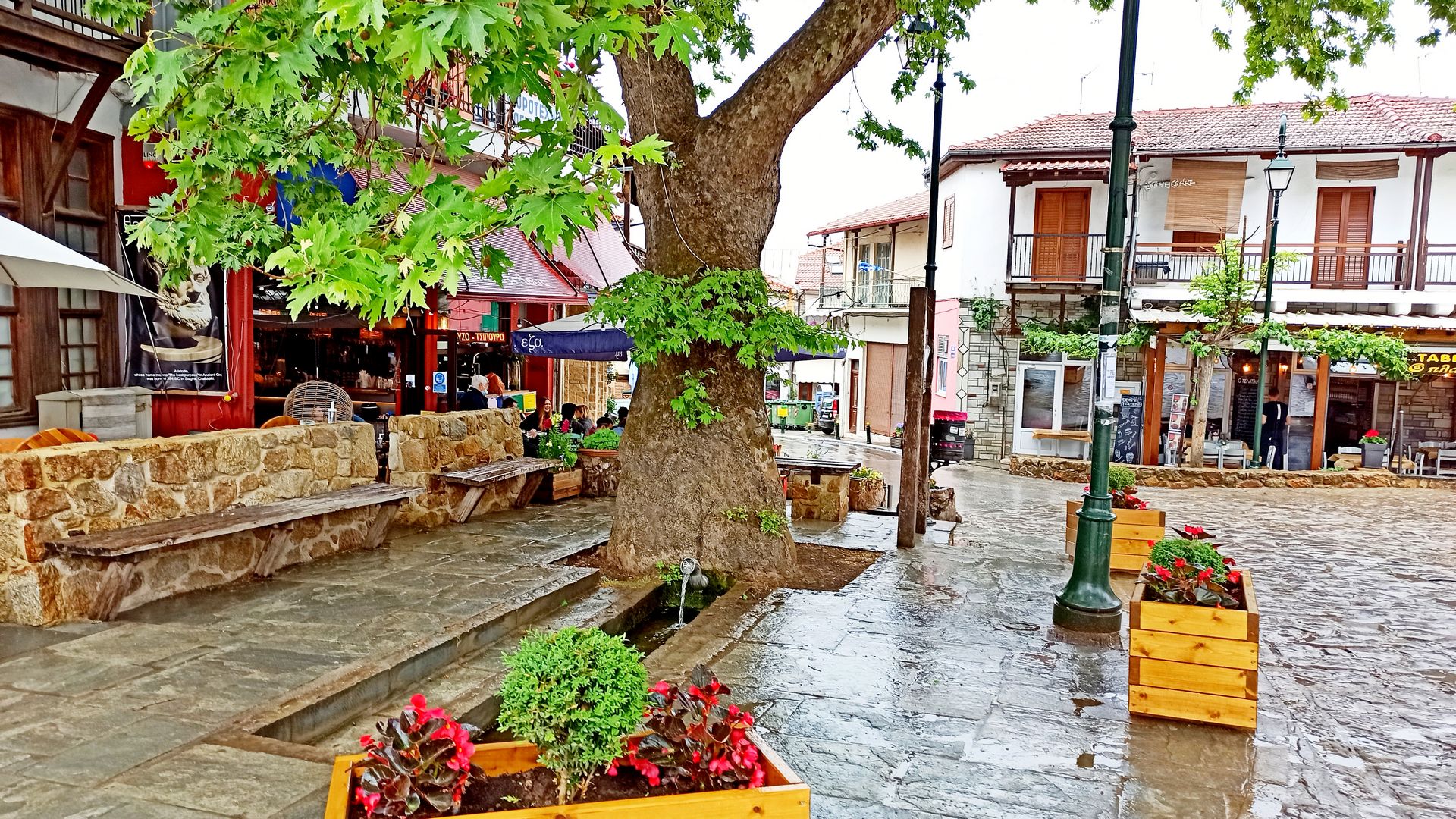 191038351_3969967509747666_8424018483342974418_n