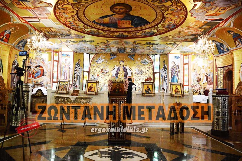 50982210587_c466c63301_c