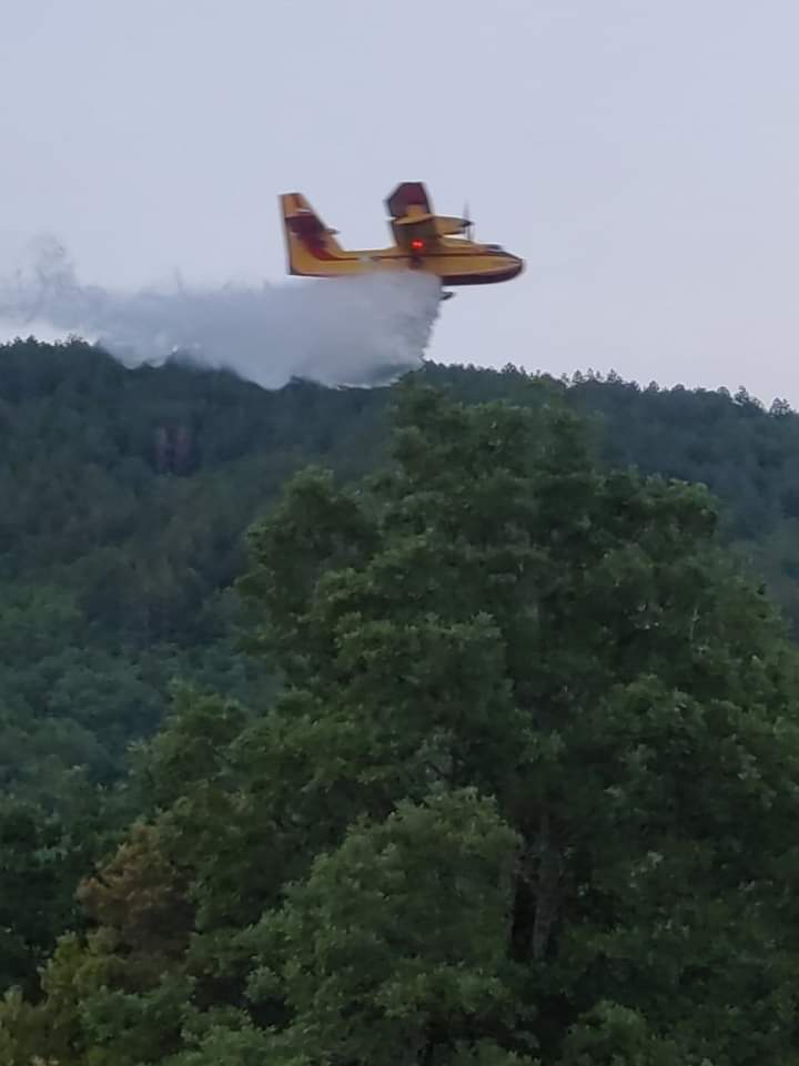 FB_IMG_1652471016753