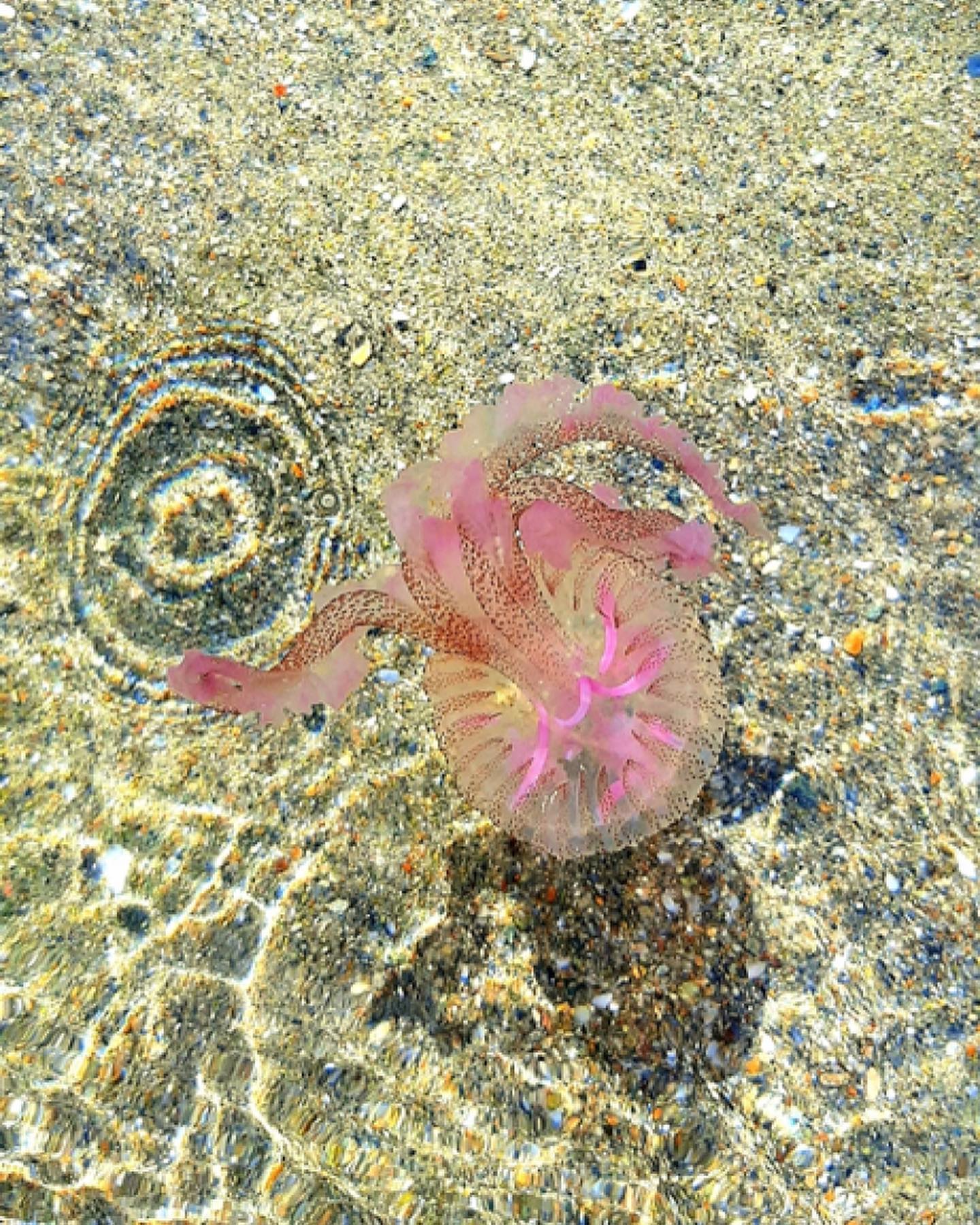 285818981_10159826532932199_8297032514702944250_n