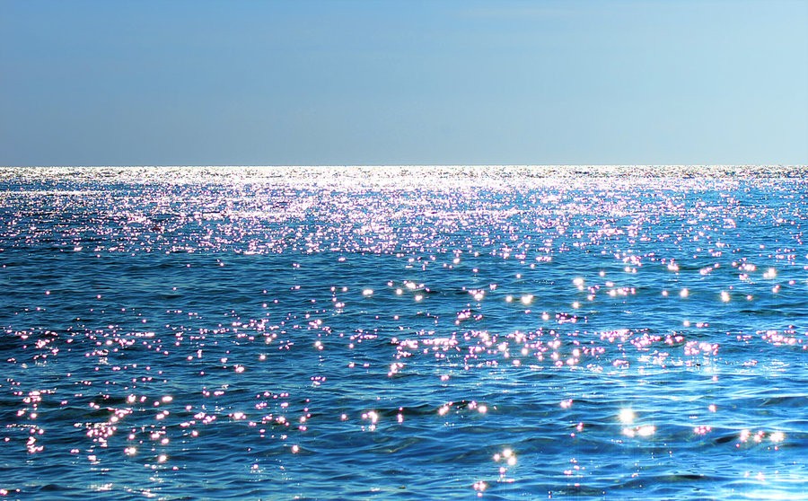 thalassa_lampei