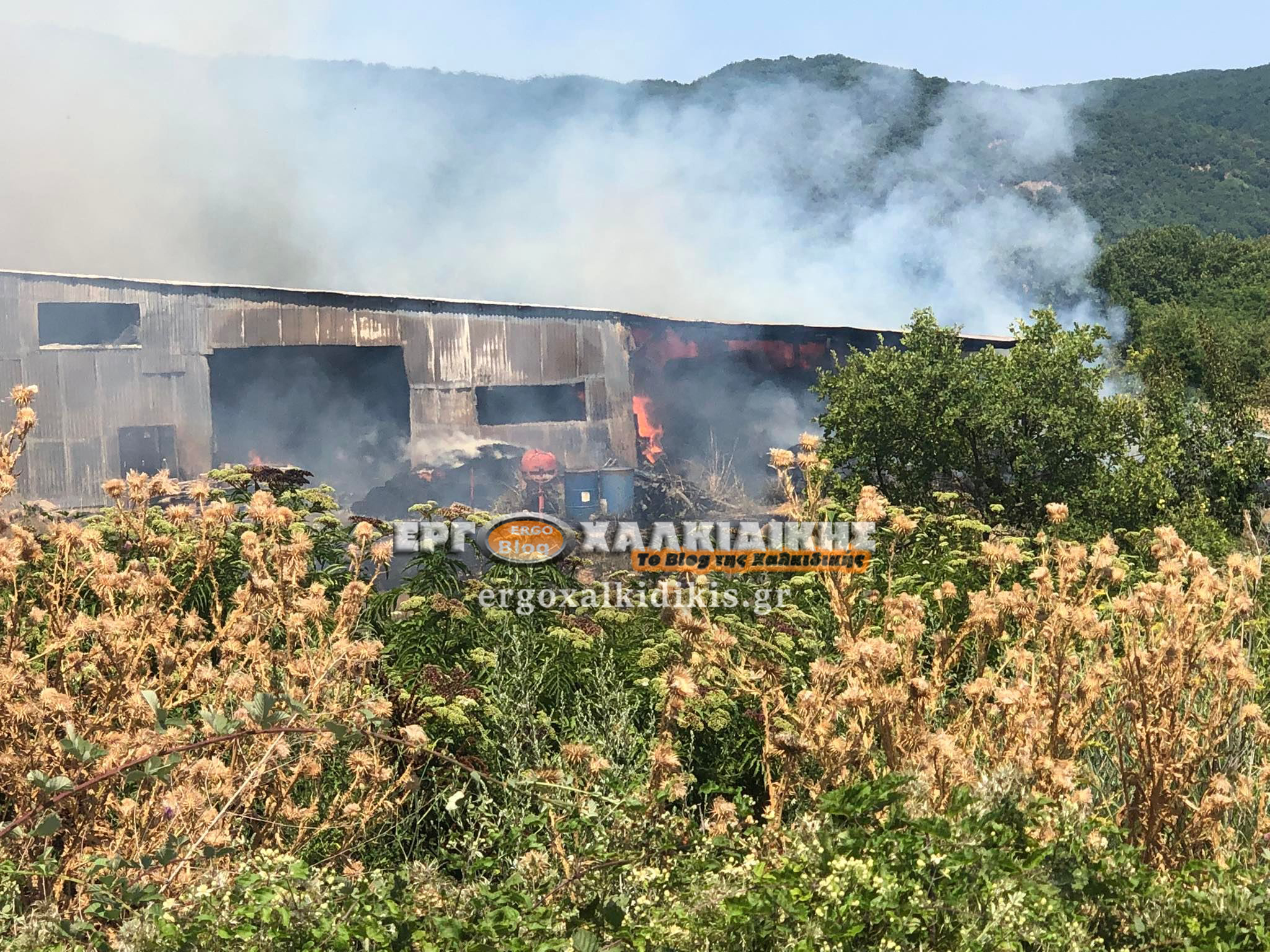 295136420_2094504187403758_3766580595454686013_n344