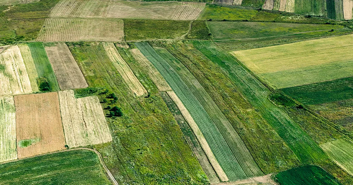 Αγροτεμάχια-12-2021