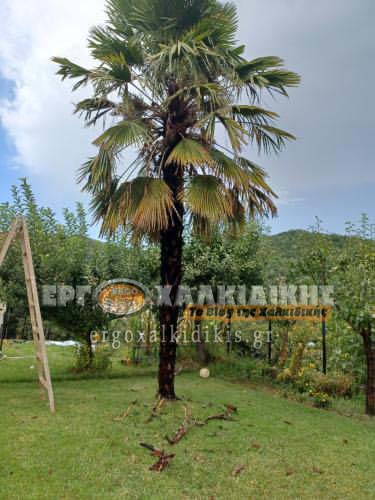 302773920_365681799111895_7041994137165041360_n-1