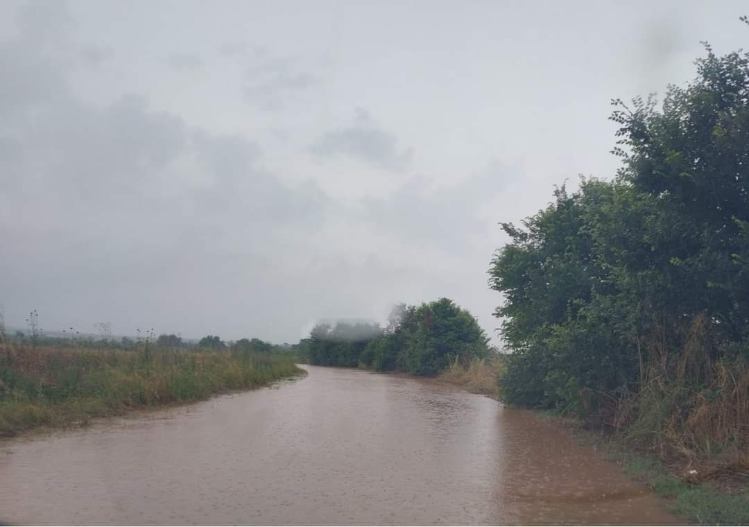 FB_IMG_1686996719017