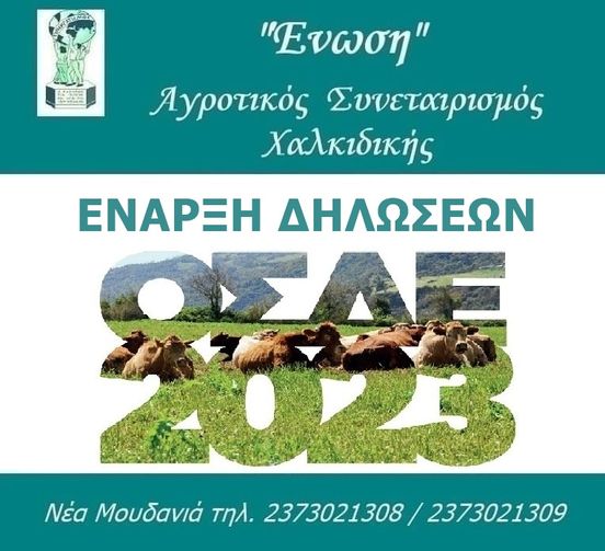 358095489_762479639211512_6901617235970586159_n