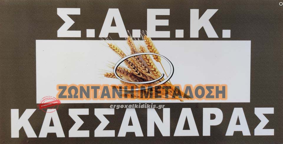 424606131_888039153328543_3721638745195763678_n-1