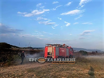 fire perch ΦΩΤΙΑ