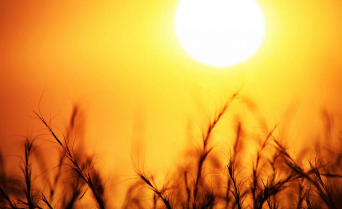 istock_000006284297_small-1024×625-1