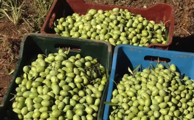 Screenshot_1-12-768×474