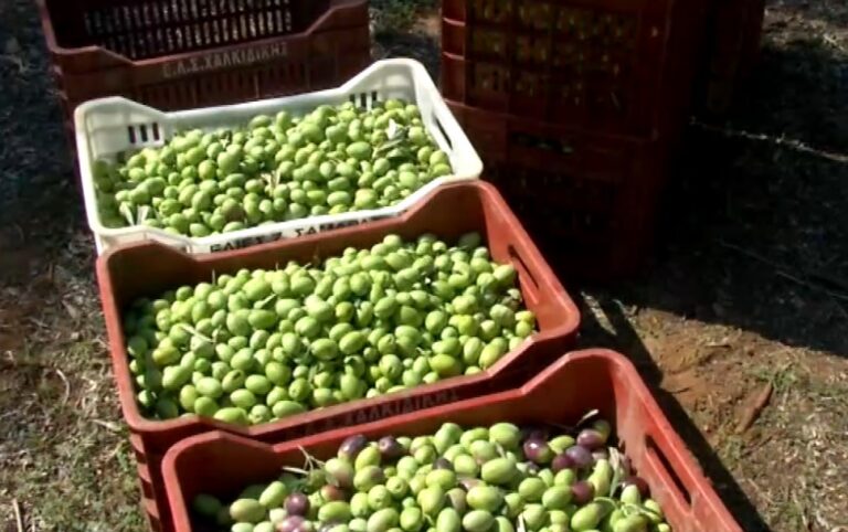 Screenshot_13-2-768×482