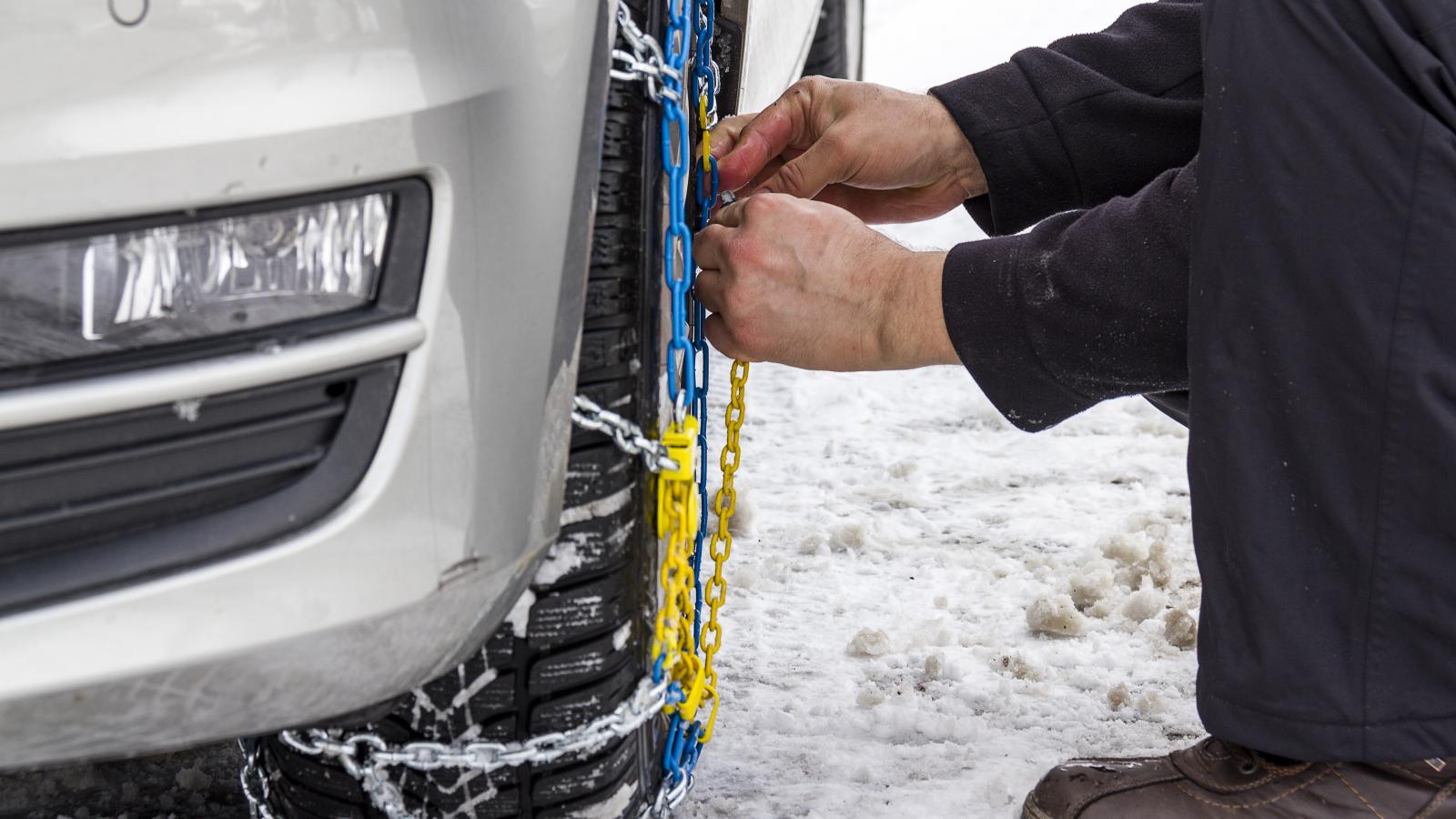 alysides-autokinito (2)