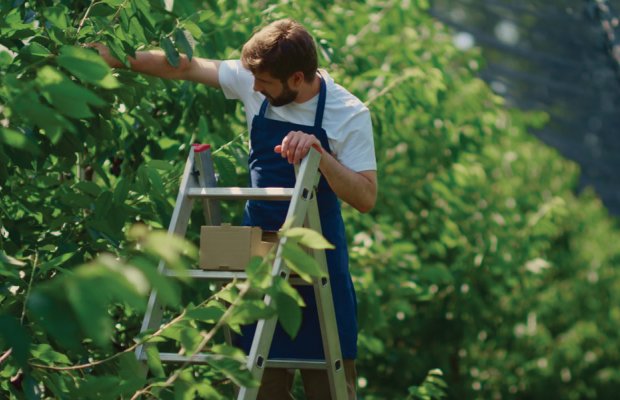 farmer εργατών γης τρίτων χωρών