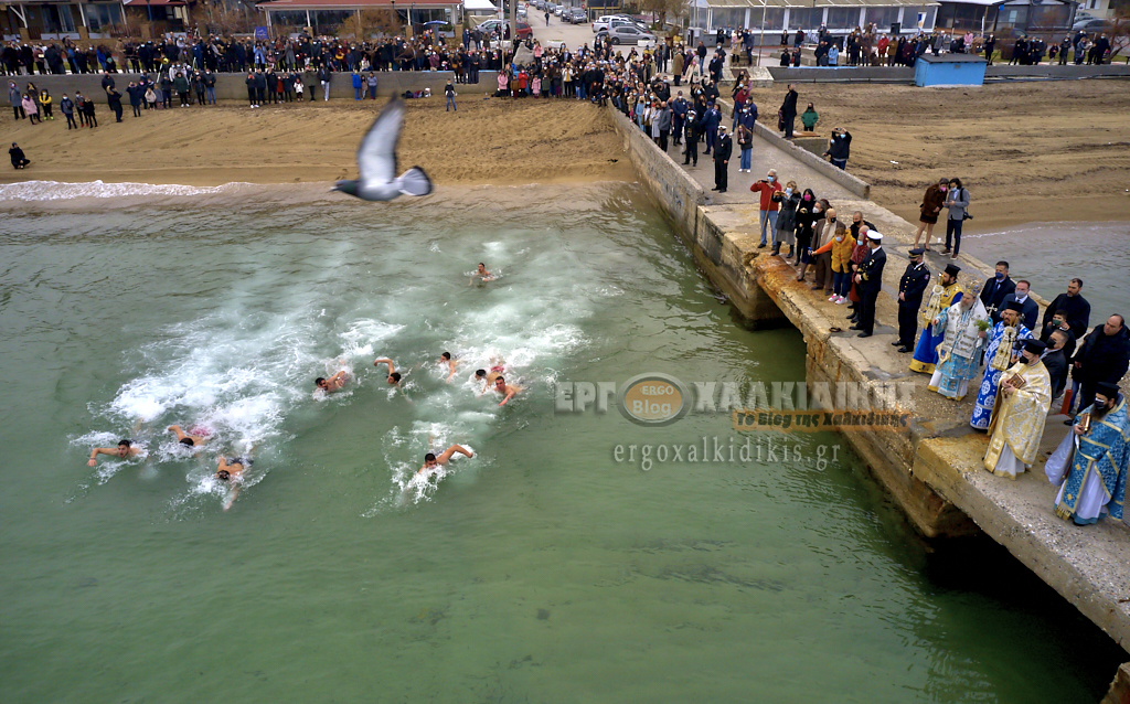 51804031909_deed216e04_o11