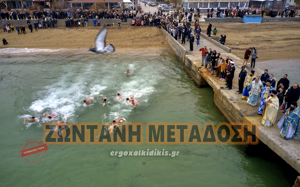 51804031909_deed216e04_o123212312