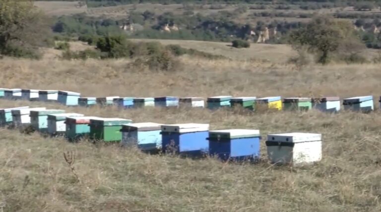 melissokomoi-768×428