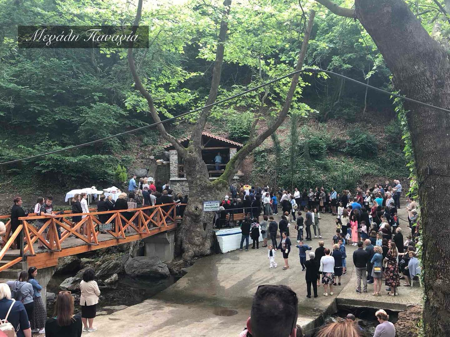 504145261_1178993900939664_7039795613075979594_n