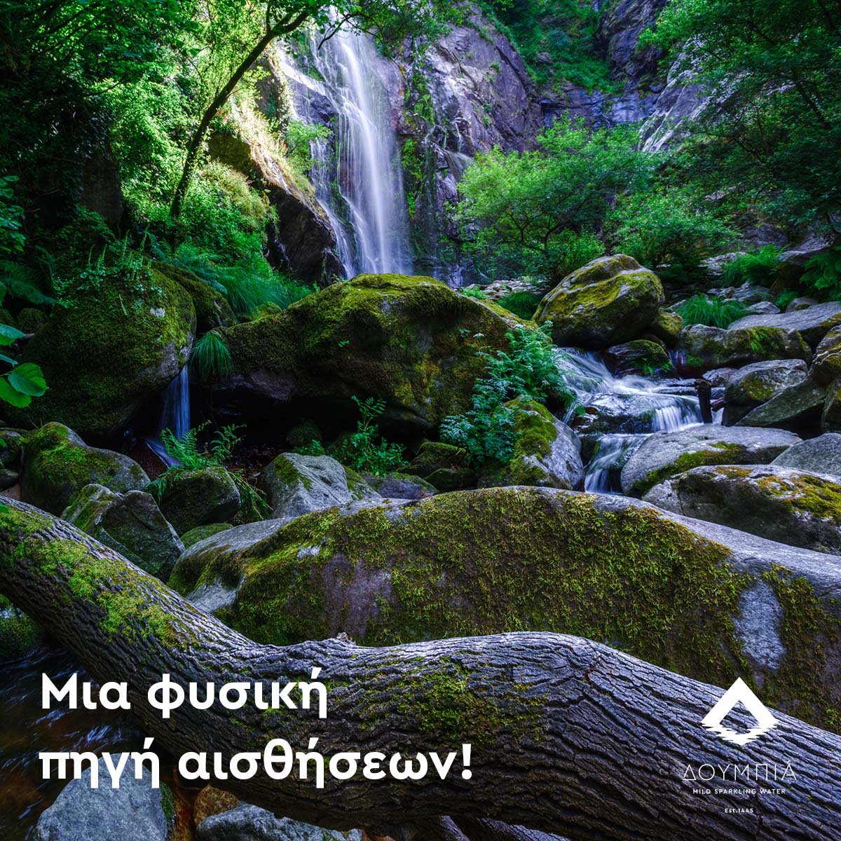ΔΟΥΜΠΙΑ