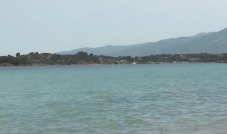 screenshot-16-1-768×455