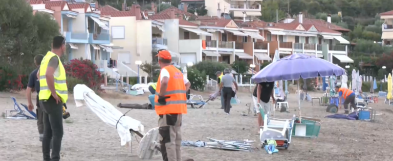 screenshot-9-768×316