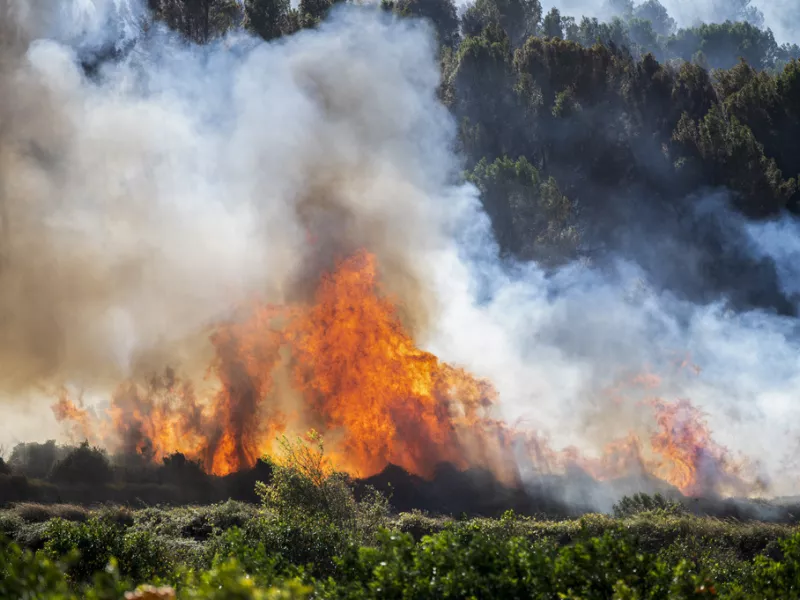 ap-wildfire-spain.jpg