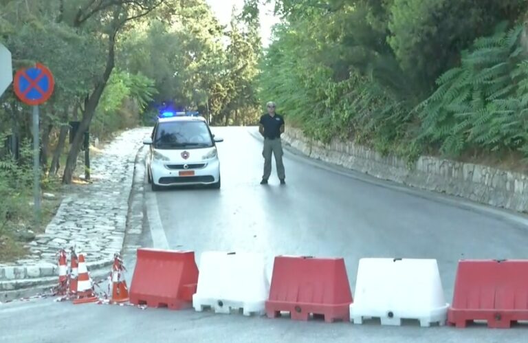 dasi-kindynos-pyrkagias-768×499